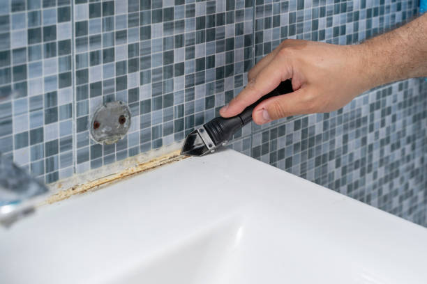 Best Industrial Mold Remediation in Chadwicks, NY